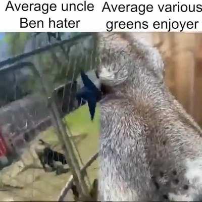Average Uncle Ben hater vs Average various greens enjoyer