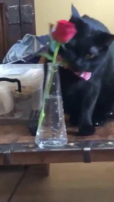 Instant regret