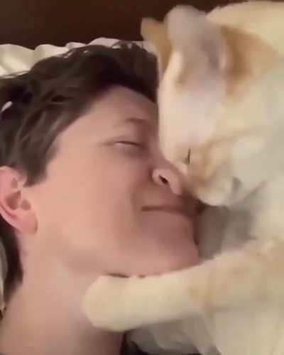 Cat cuddling with owner by nuzzling her nose. Link will be provided in comments