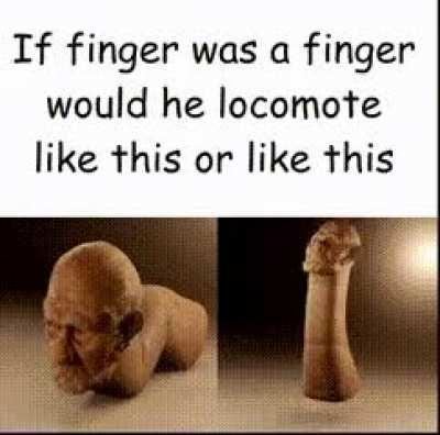 Finger