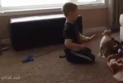 Slapping Cat WCGW !!!