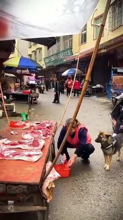 They (Dogs) buying meat for their sick owner!