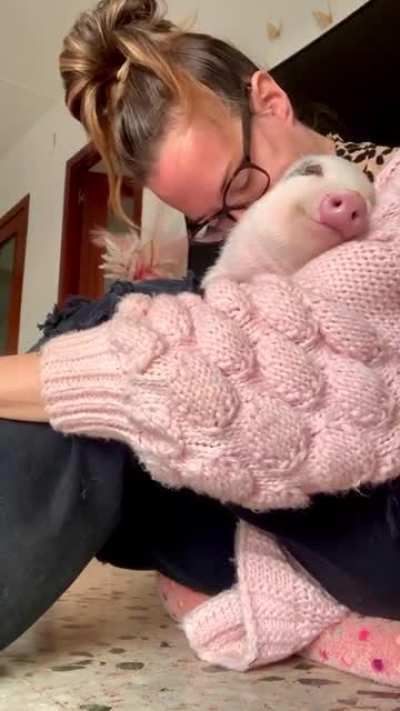 This is Roxy the minipig and he is just living his best life :