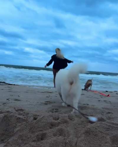 Running around at the beach with her dogs, Instagram, 10-18-2024