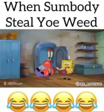 who stole Spinkblink and craps weed bro 😭