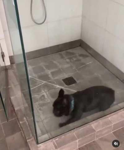 Shower zoomies!