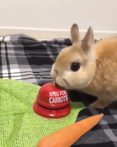 Ring For Carrots