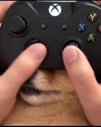 Cutest controller