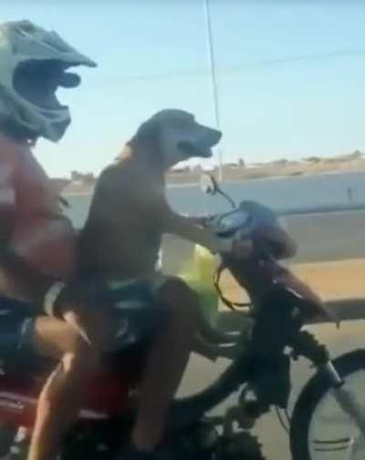 Out for a ride.