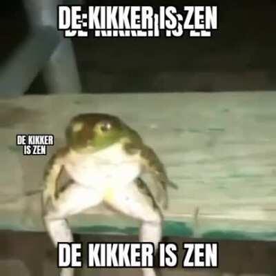 De Kikker is zen