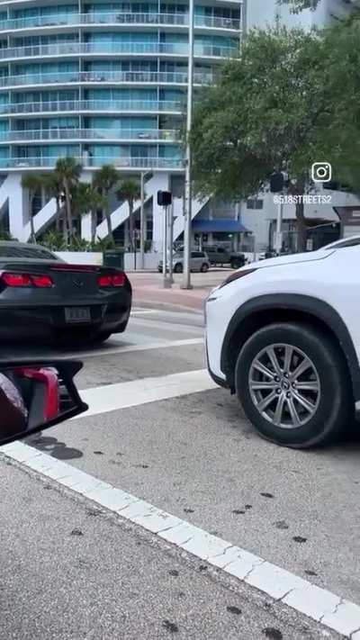 Corvette driver unleashes a charged attack on woman’s wing mirror