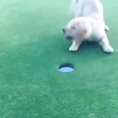 Hole In One, Professional Golfer