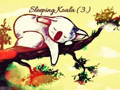 Sleeping Koala: 3