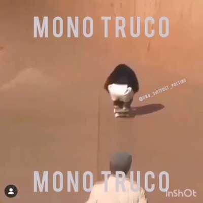 Mono truco 😎