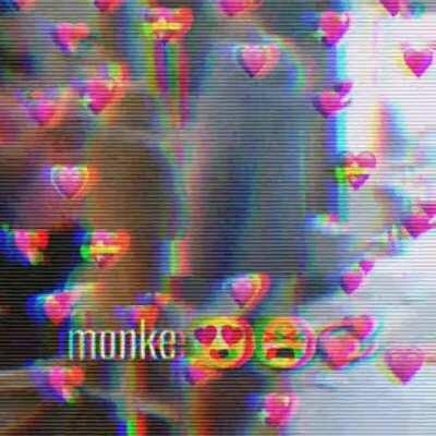 Monke is love 😍 ✨