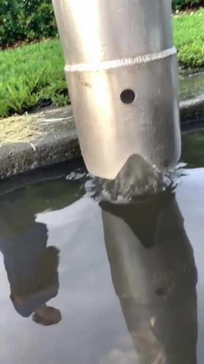 Tube sucking up water