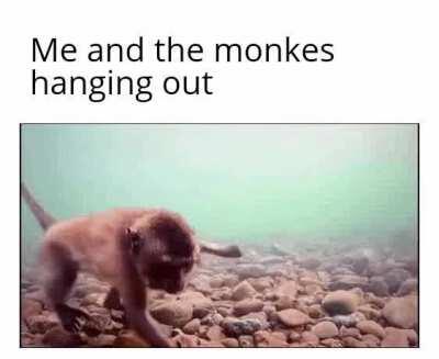 Reject humanity return to Monke