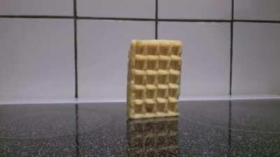 Waffle Falling Over- Inception