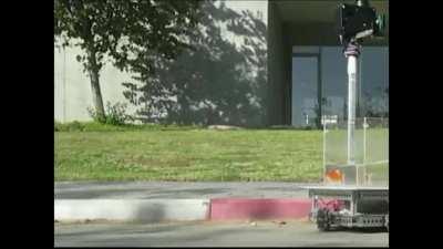 Goldfish trained to drive a wheeled platform that reacts to the fish’s movement.