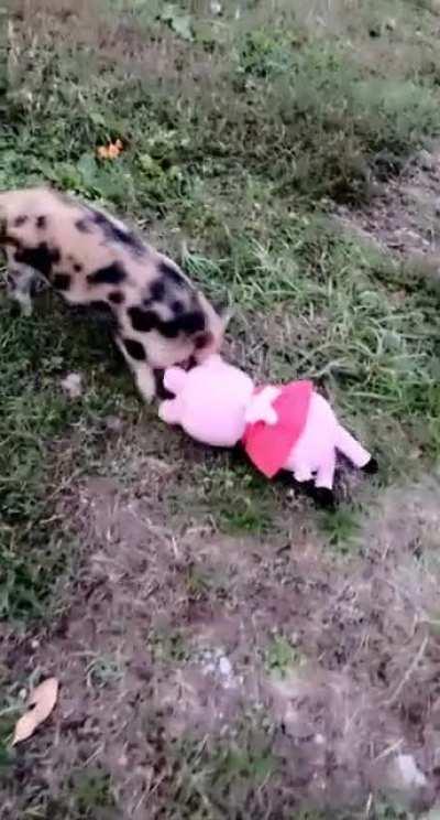 Gimli vs Peppa