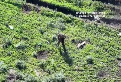 Ukraine drone mercy kill russian soldier