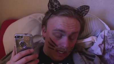 every cat at 3 am