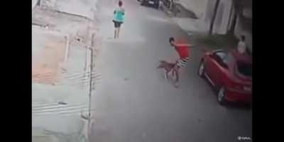 Man saves little boy from dog attack