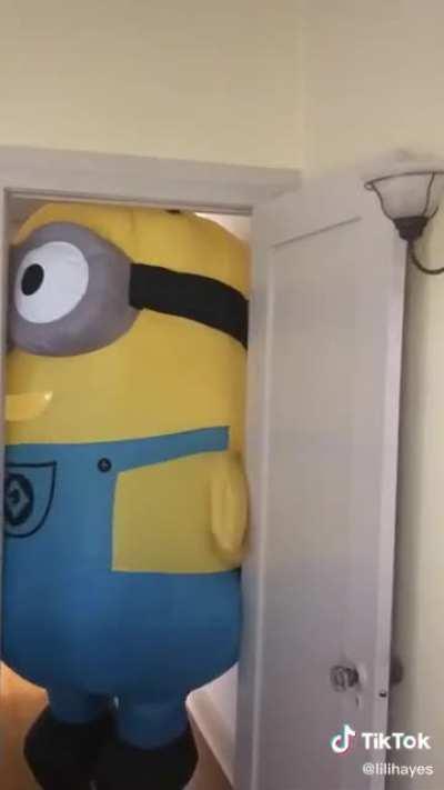 Minion jail