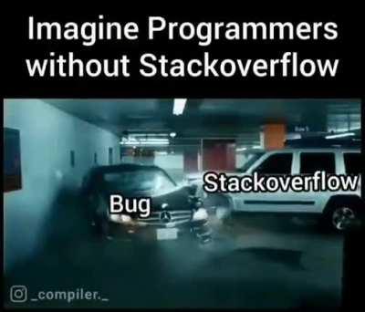 Programmers without StackOverflow