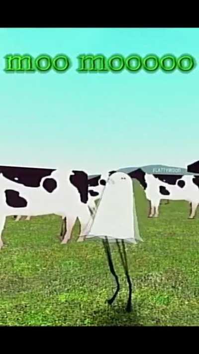 Mooo