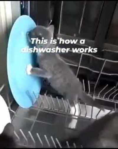 This is how a dishwasher works