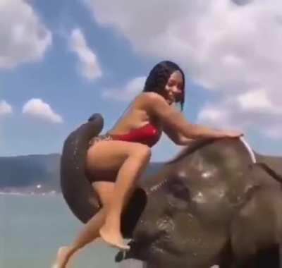 WCGW climbing in an elephant