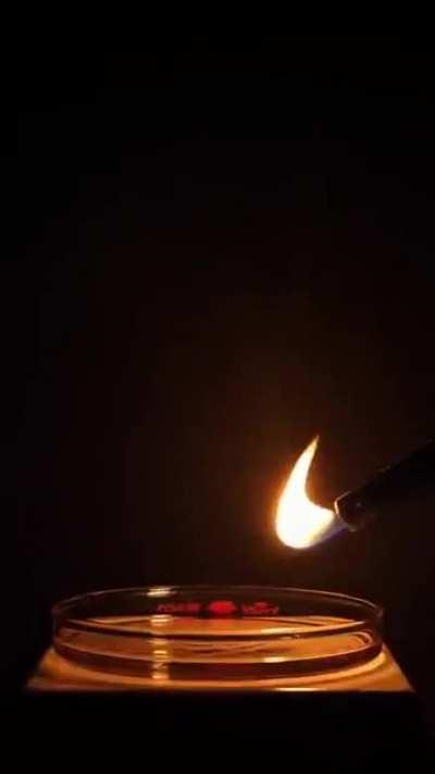 This flame looks fake but is real (nitromethane)