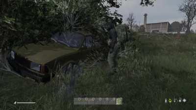 DayZ shenanigans