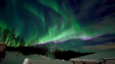 🔥 When you rent a cabin on the Norwegian Isle of Senja, this is what you see when you walk outside at night.