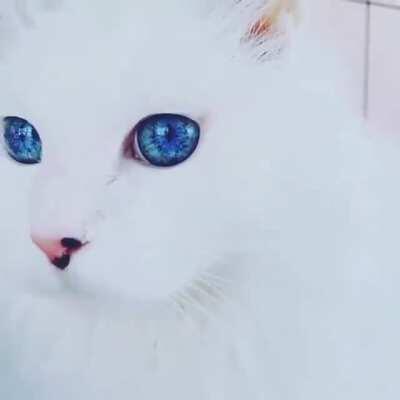 Its like a Galaxy in those Eyes