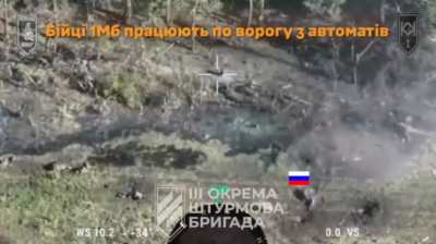 Russian assault group was destroyed by fpv drones and small arms fire in kharkiv region 