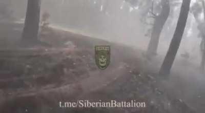 Siberian Battalion in the north of the Kharkov region - the beginning of a new Russian offensive (May 15)