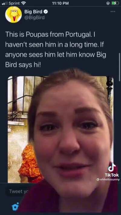 Big Bird