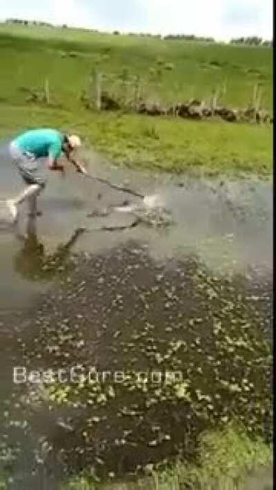 HMFT after trying to catch frogs(?) with the back of my rifle