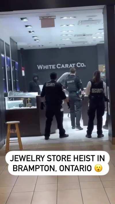 Jewelry store heist interrupted by security