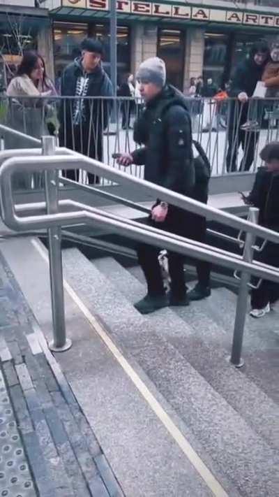 This Cute little puppy rolls a ball down a staircase for Fun.