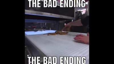 The bad ending