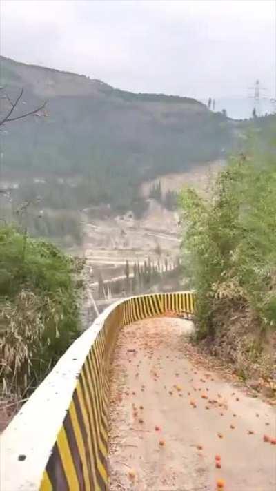 thousands of oranges rolling down a road