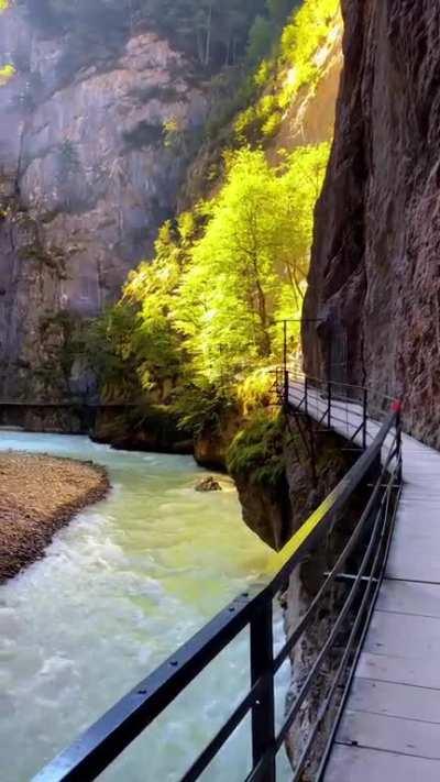 Aare George, Switzerland