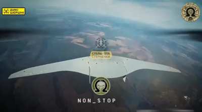 Ukrainian FPV pilots intercept more Russian reconnaissance UAVs in the skies over the Kharkiv region.