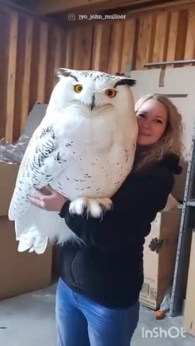 A big birb