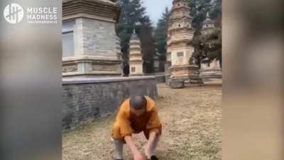 Shaolin Kung Fu Training!