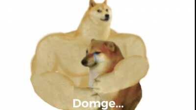 As cheems is on the brink of nuclear annihilation he reminisces of his time with doge