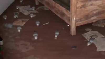 House Flipper seems to have a new rat problem